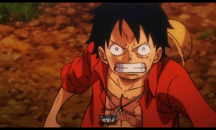 루피가 우솝 동료로 데리고다는 이유 | 인스티즈