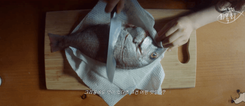 도시어부 추천 걸그룹 멤버 | 인스티즈