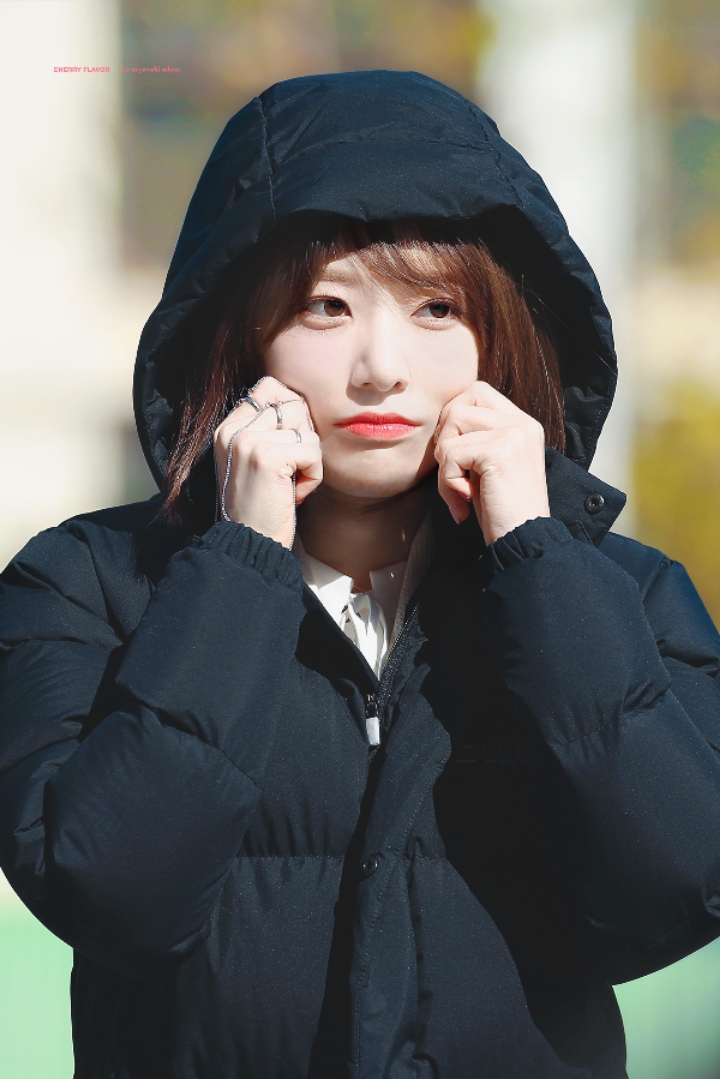 아침을 여는 아이즈원 미야와키 사쿠라 | 인스티즈