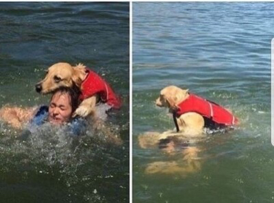 ??? : 여기 사람 여기 사람있다고!!!!!!!! | 인스티즈