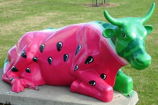 ㅜㅑ..이게 젖소야 수박이야.... | 인스티즈