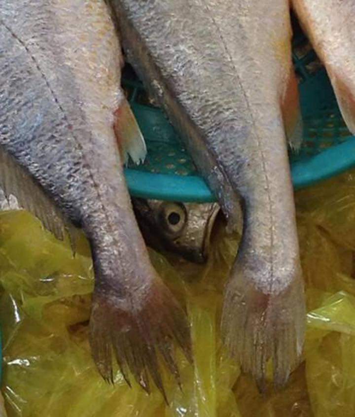 사장님 저 밑에 있어요 | 인스티즈