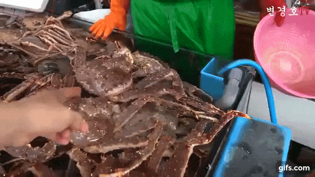 소래포구 걸러야 하는 이유 .gif | 인스티즈