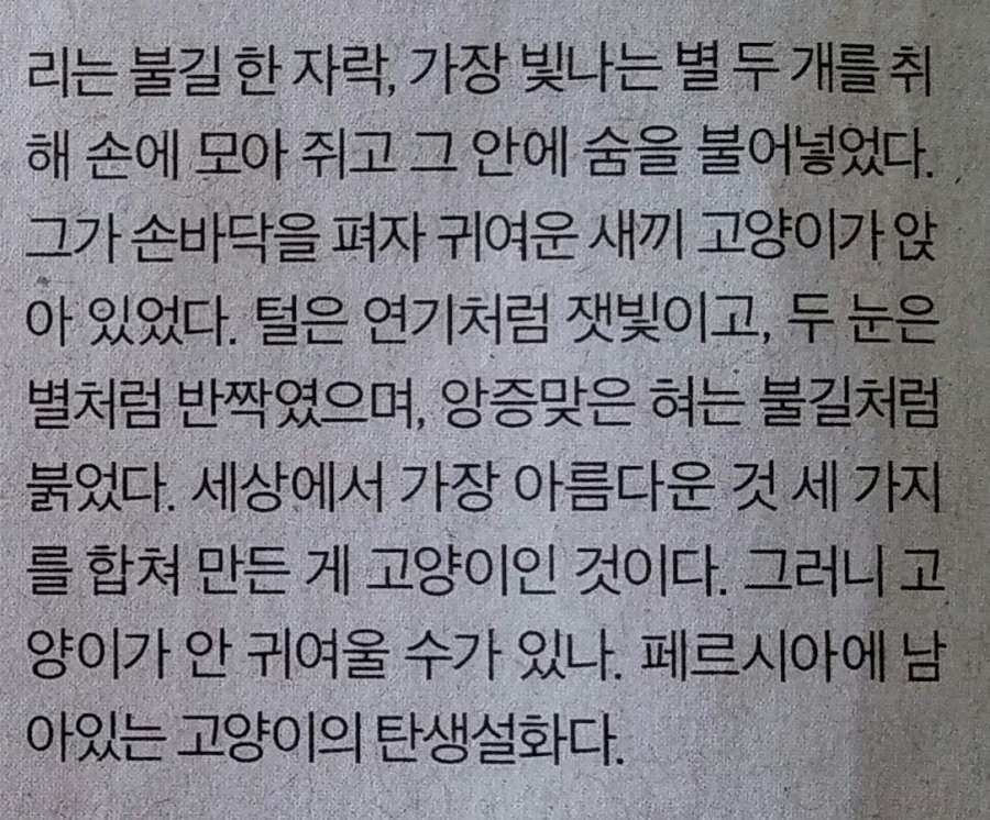 고양이 창조설화 | 인스티즈