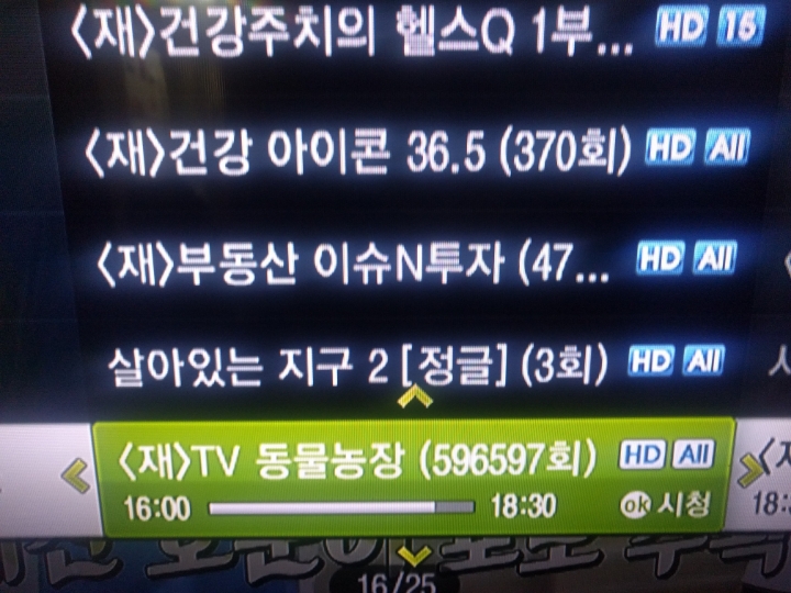 한반도 역대 선조들이 지켜온 위대한 유산 | 인스티즈