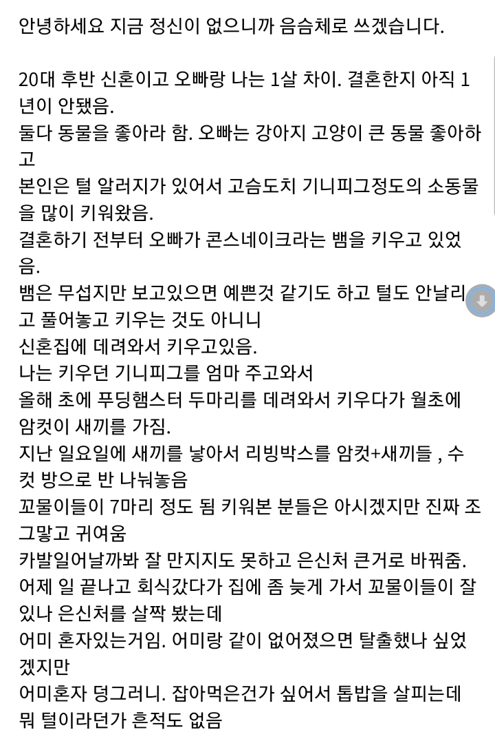 햄스터때문에 이혼하게 생겼네요 너무 화나요.jpg | 인스티즈