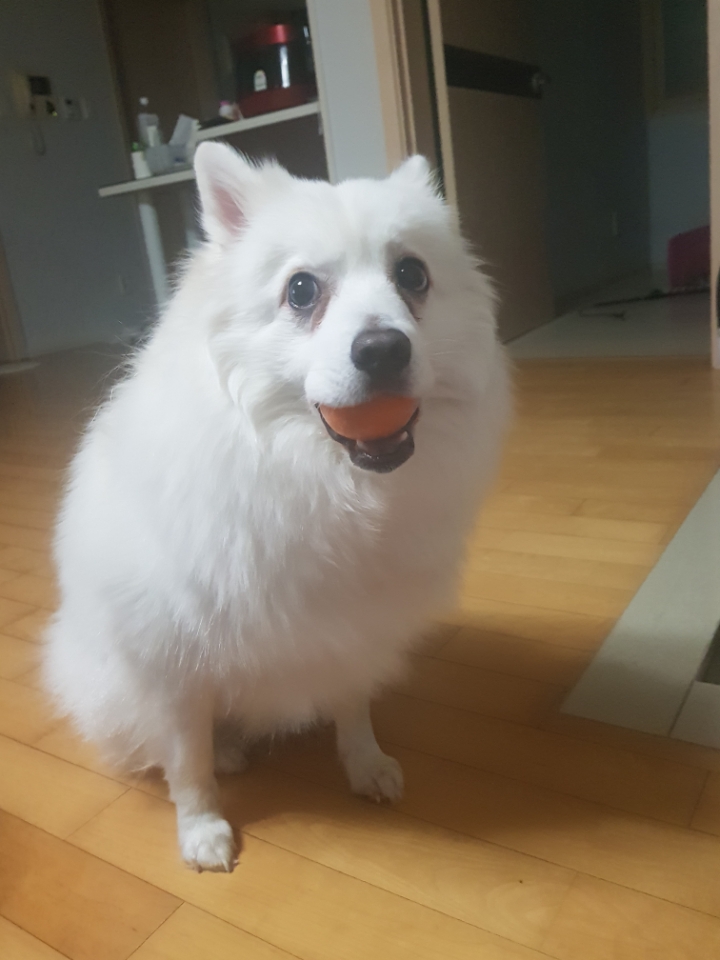 2019년 우리 구름이 | 인스티즈