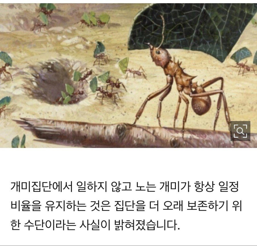 일안하고 노는 개미의 진실 | 인스티즈