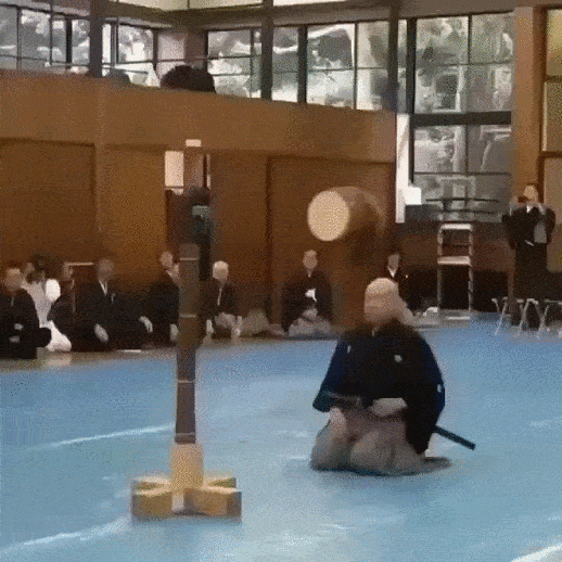 ???: 하세기!!! | 인스티즈