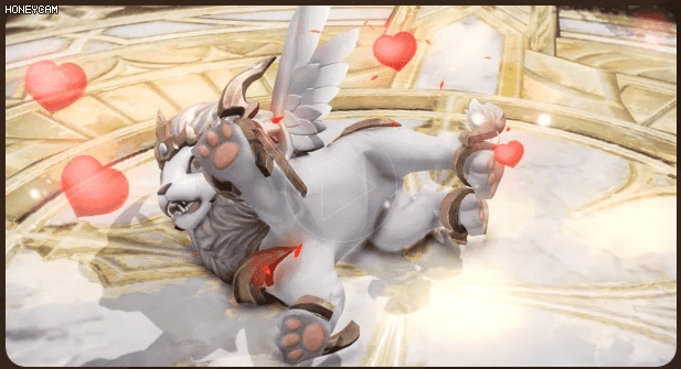 로스트아크에 출시된 가디언펫들 | 인스티즈