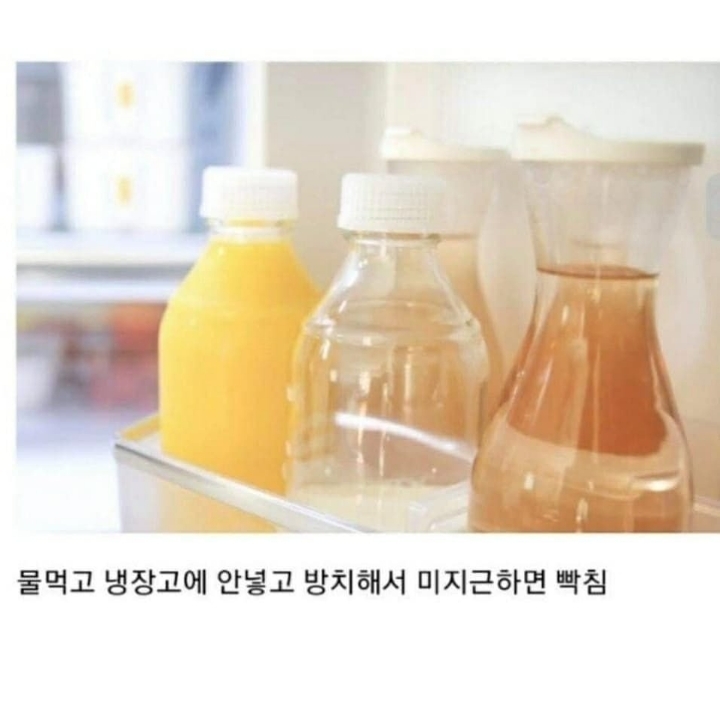 찬물만 마시는 사람 특징 | 인스티즈