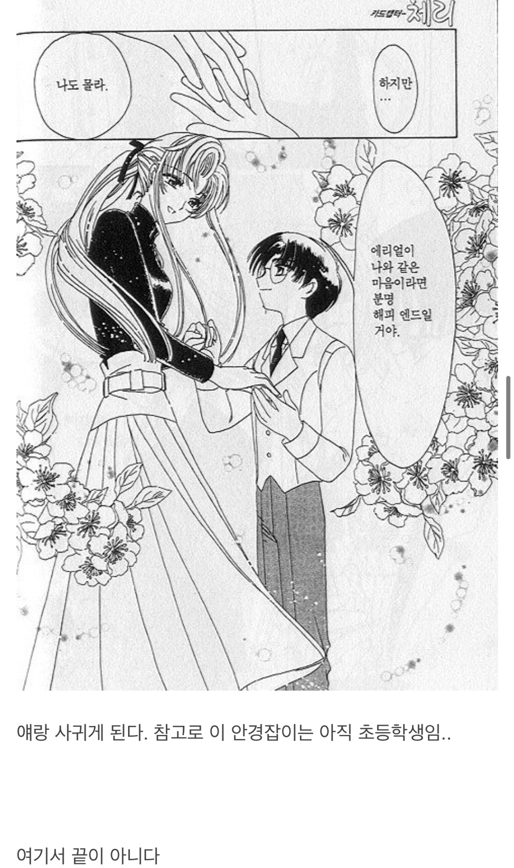 알고보니 진정한 PC였던 만화 - 카드캡쳐 체리.jpg | 인스티즈