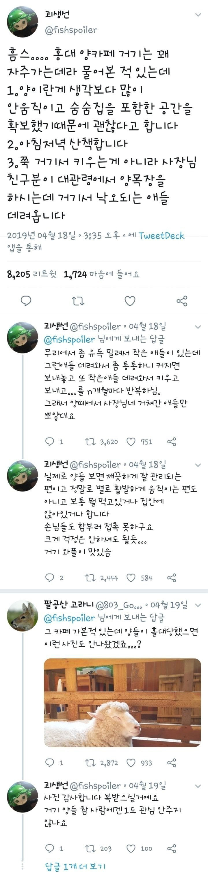 홍대 양카페 근황.jpg | 인스티즈