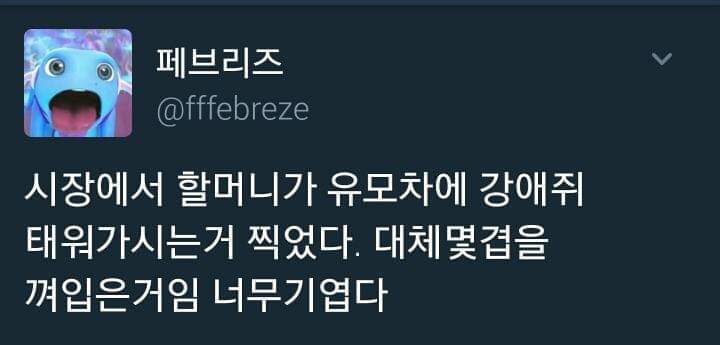 다리아픈 댕댕이를 유모차에 태워다니시는 할머니 | 인스티즈
