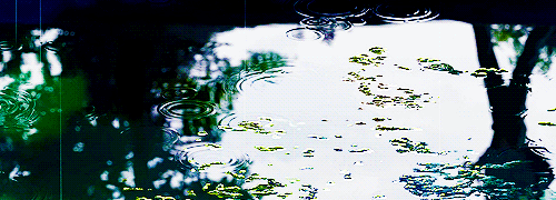 비 오는 날 호 vs 불호.gif | 인스티즈