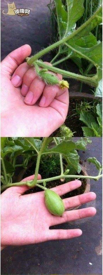 다시보는 고전.jpg | 인스티즈