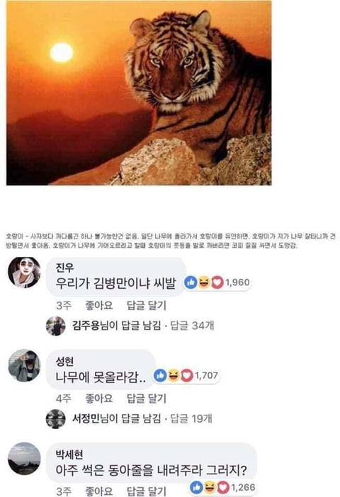 동물이랑 싸워서 이기는 법 | 인스티즈