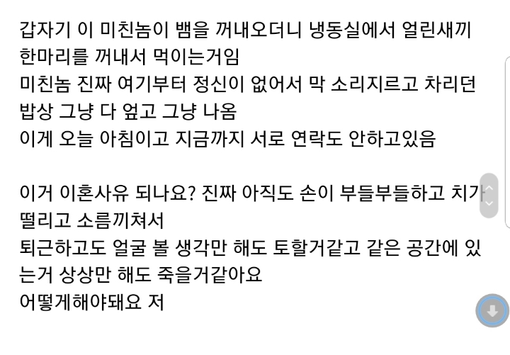 햄스터때문에 이혼하게 생겼네요 너무 화나요.jpg | 인스티즈