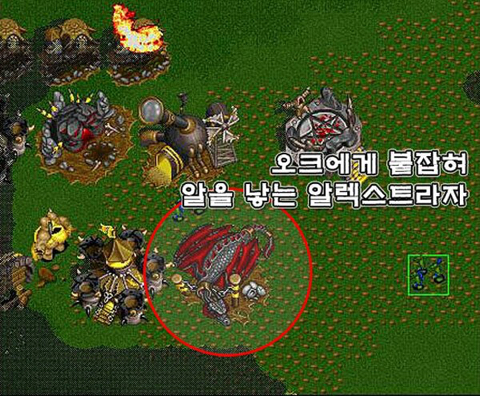 호드 아니 좆드가 쓰레기인 이유 | 인스티즈