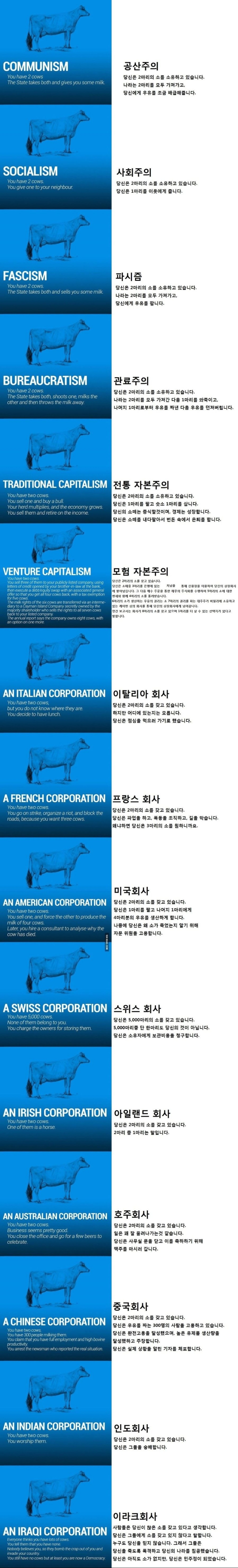 소 2마리로 이해하는 경제 | 인스티즈