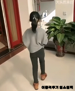 친남매 레전드.gif | 인스티즈