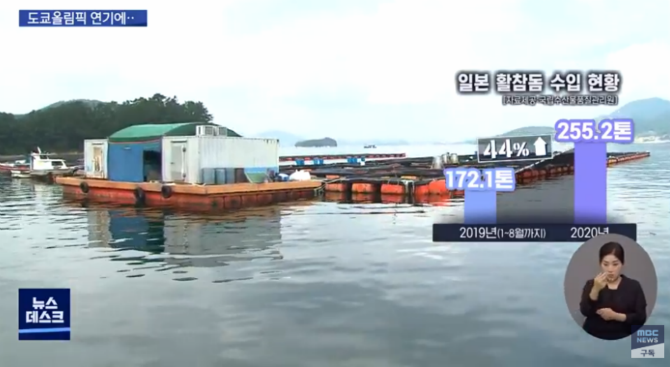 도쿄 올림픽 연기때문에 뜻밖에 피해를 보고있는 양식장 어민들.jpg | 인스티즈