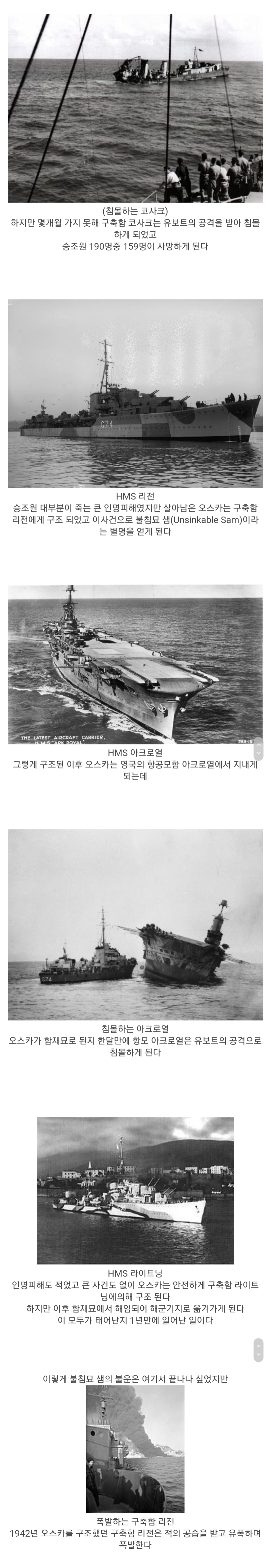 역사상 가장 스팩타클한 냥생을 살았던 고양이 | 인스티즈