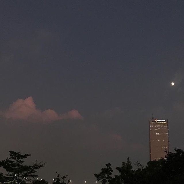 그대의 가을이 조금은 따뜻했으면 좋겠습니다 | 인스티즈