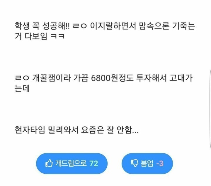자존감채우기위해 고려대학교 감 | 인스티즈