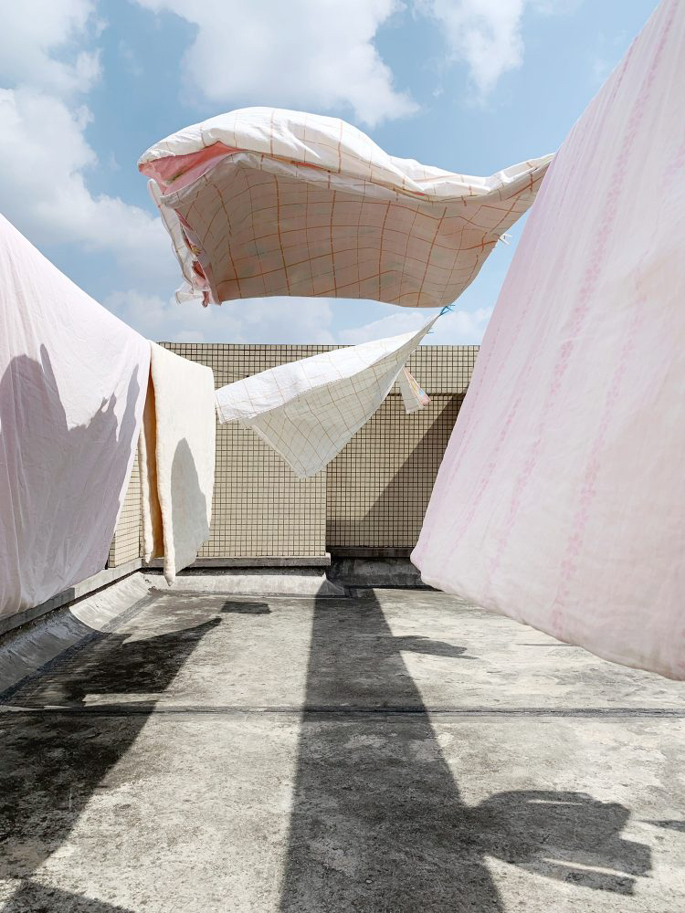 2020 아이폰 사진 어워드 수상작들 | 인스티즈