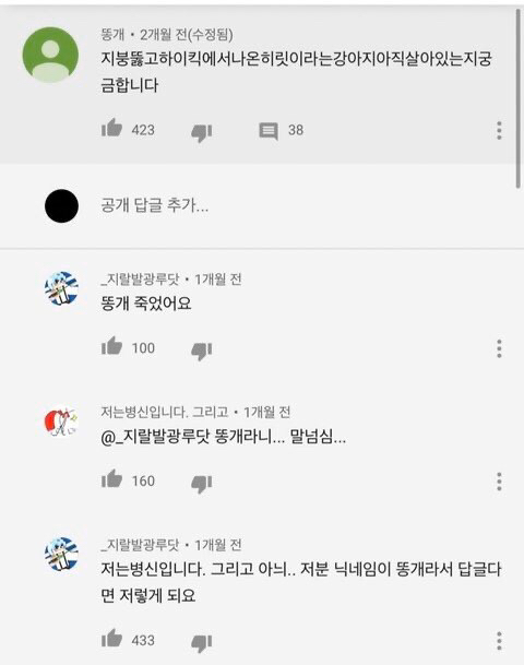 지붕뚫고하이킥에 나온 히릿이라는 강아지 아직 살아있는지 궁금합니다! | 인스티즈