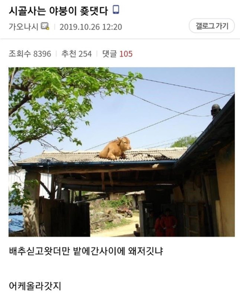 오늘자 ㅈ돼버린 디시인.jpg | 인스티즈