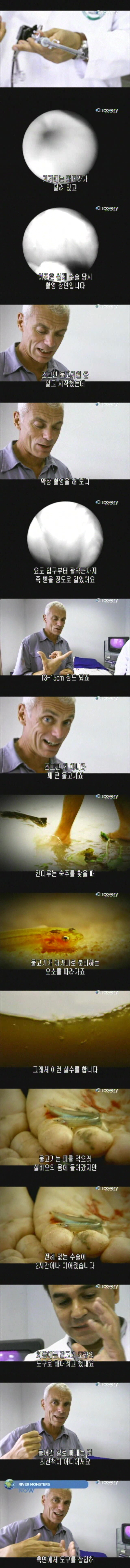 강에서 오줌 싸다가 ㅈ됨.jpg | 인스티즈