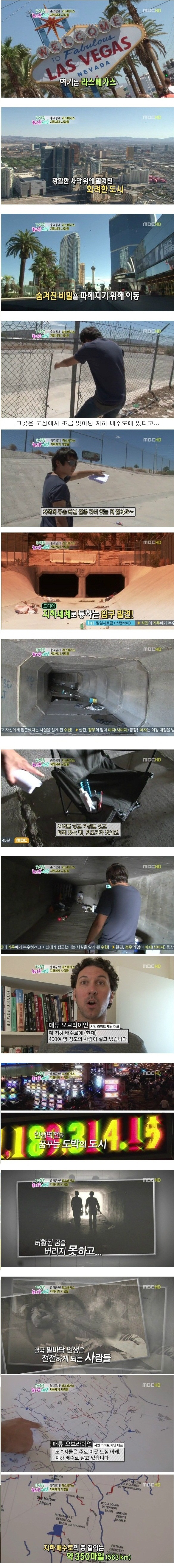 도박꾼들의 지하세계 | 인스티즈