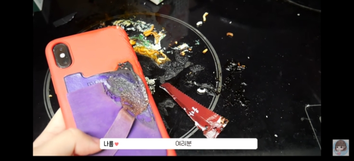 인덕션에 아이폰 녹여버린 유튜버 | 인스티즈