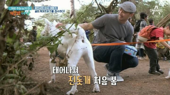 미국에서 인기쩌는 진돗개....jpg | 인스티즈