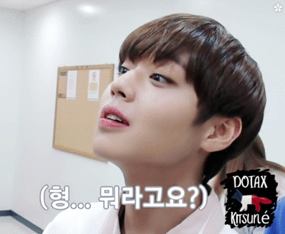 망한 음식 사진 대회.jpg | 인스티즈