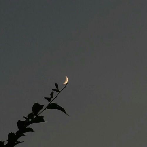 그게 우리 사랑의 방향이었지 | 인스티즈