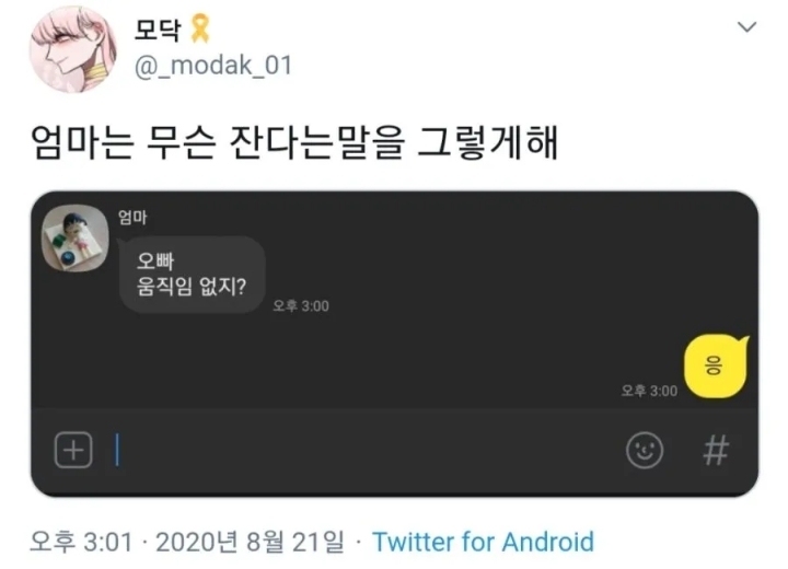 오빠 자냐고 물어보는 엄마 .jpg | 인스티즈