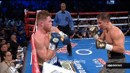 정상급 복서들의 수싸움 | 인스티즈