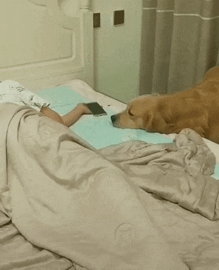 착한 인절미 | 인스티즈