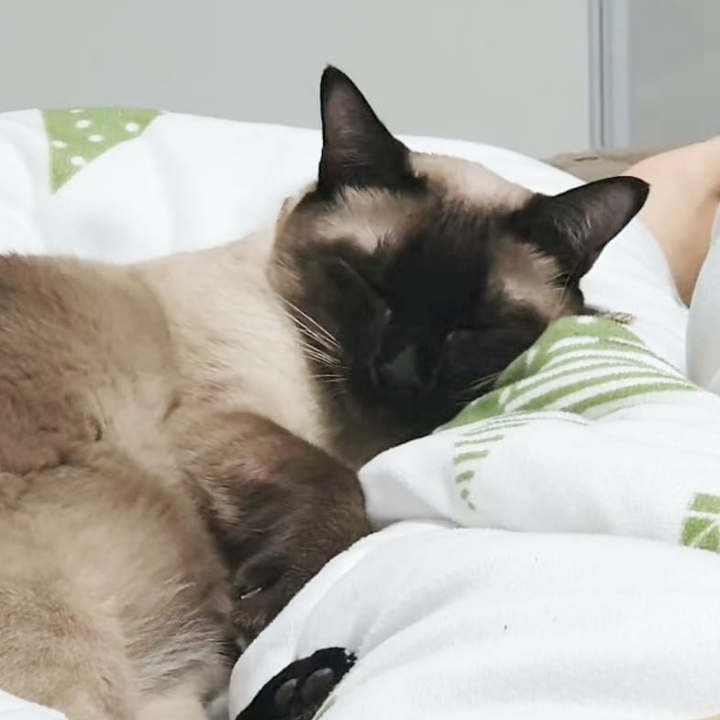 아침마다 다리가 저리는 이유(짧주의) | 인스티즈