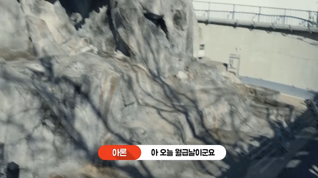 일본인이 밝히는 일본 원숭이의 암수 구분법 | 인스티즈