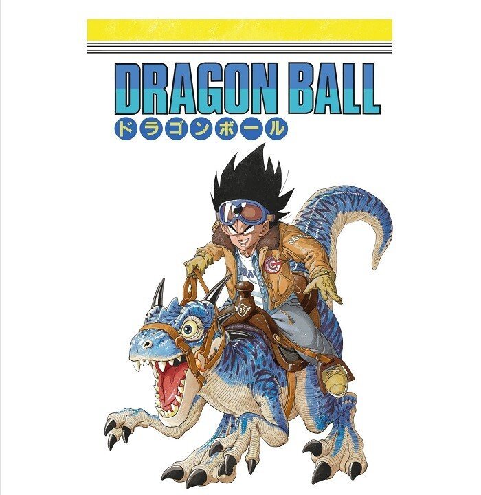 중국인이 그린 드래곤볼 그림 수준ㄷㄷㄷㄷㄷ.jpg | 인스티즈