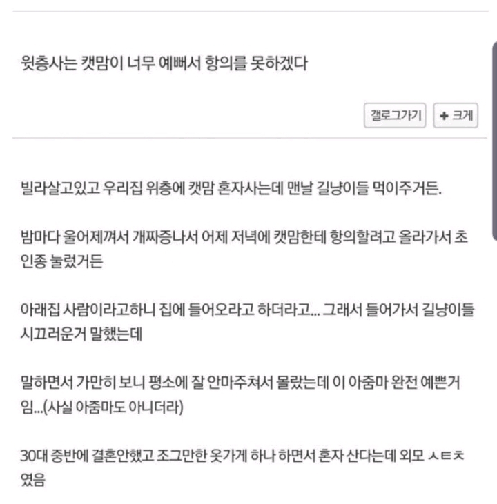 윗층사는 캣맘이 너무 예뻐서 항의를 못하겠다 | 인스티즈