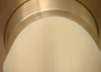 파스타 면뽑는짤 | 인스티즈