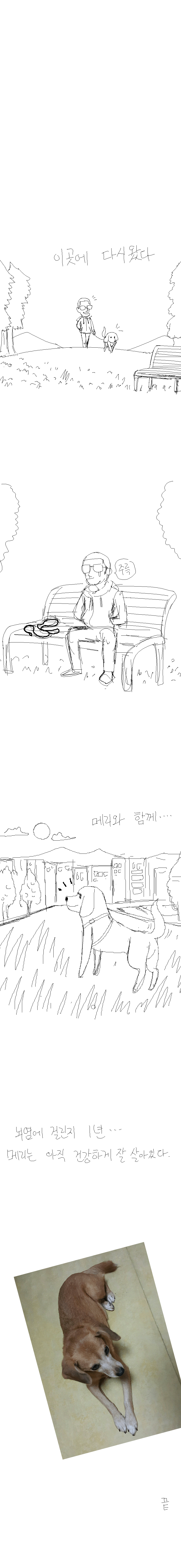 개 안락사 시키러 가는 만화.jpg | 인스티즈