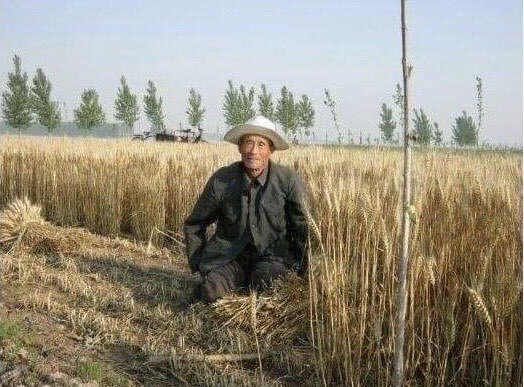 낫 놓고 | 인스티즈