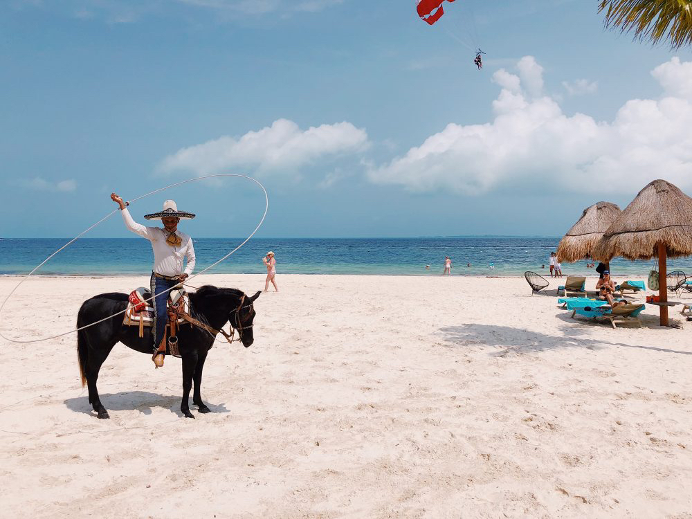 2020 아이폰 사진 어워드 수상작들 | 인스티즈