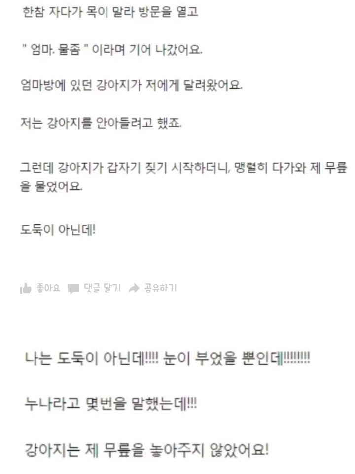 한 여자분의 쌍수후기 | 인스티즈